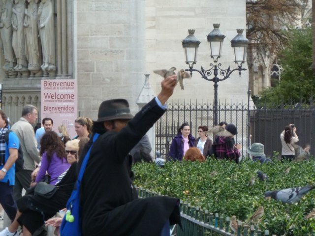 p1000871.jpg