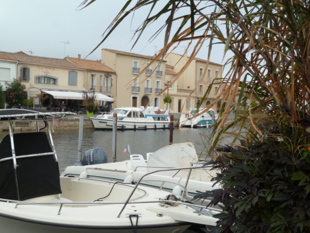 p1000961.jpg