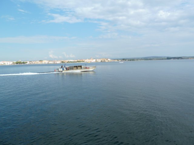p1000973.jpg