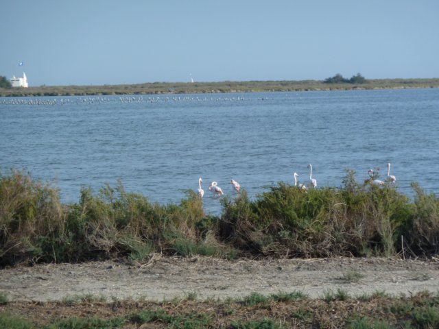p1010012.jpg