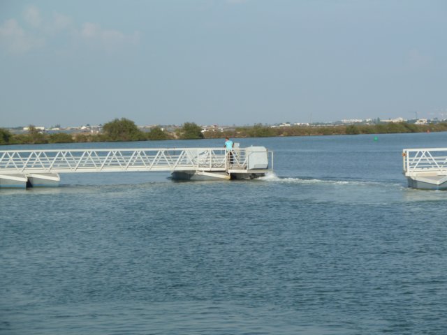 p1010017.jpg