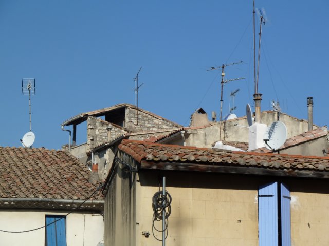 p1010150.jpg